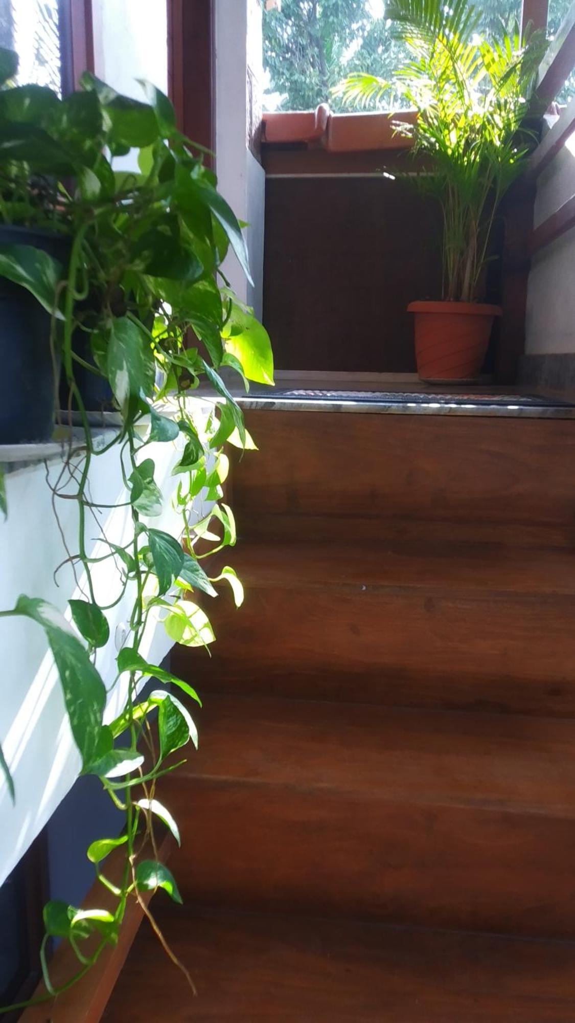 Kanav Homestay Kannur Buitenkant foto